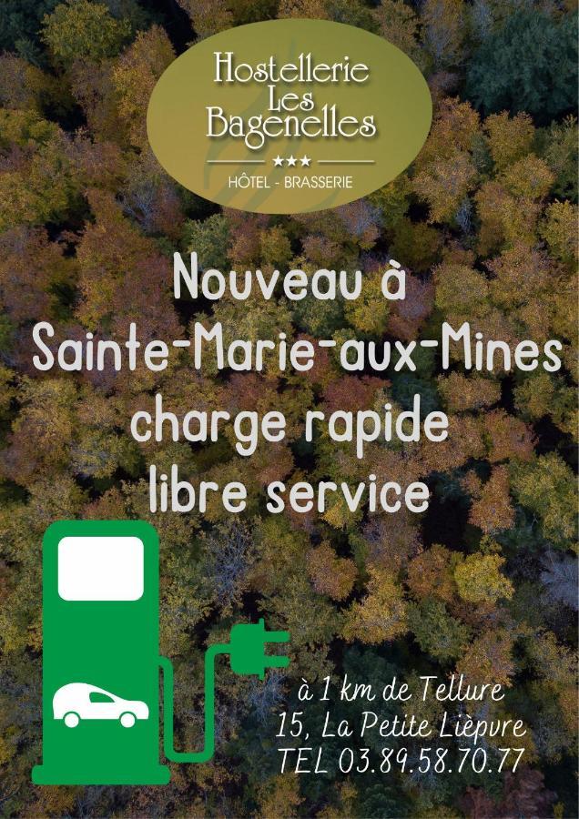 Hostellerie Les Bagenelles Sainte-Marie-aux-Mines Dış mekan fotoğraf