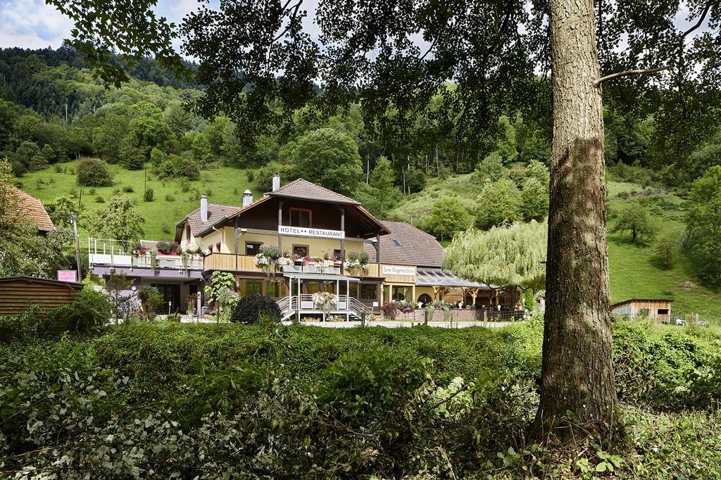 Hostellerie Les Bagenelles Sainte-Marie-aux-Mines Dış mekan fotoğraf